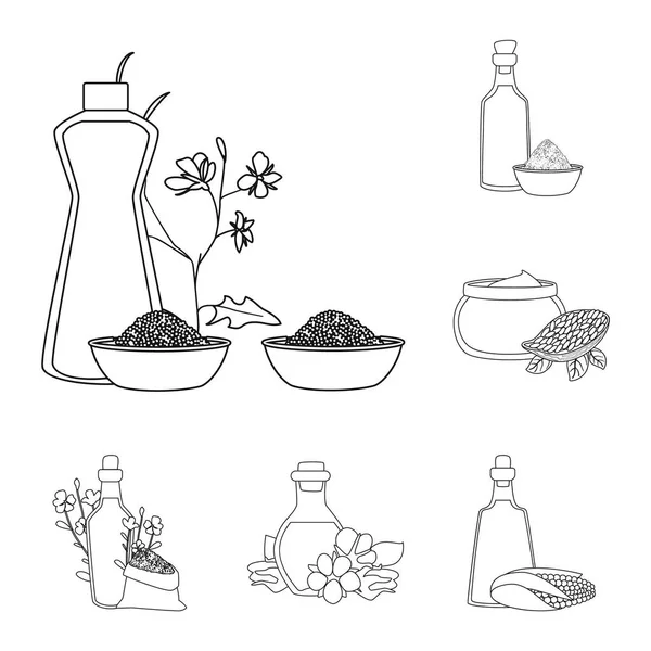 Illustrazione vettoriale di icona sana e vegetale. Raccolta di icone vettoriali sane e organiche per stock . — Vettoriale Stock