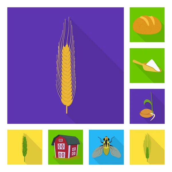 Vektorové ilustrace symbolu pšenice a kukuřice. Kolekce z pšenice a sklizeň vektorové ikony pro stock. — Stockový vektor