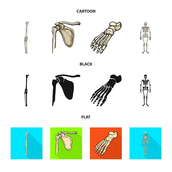 Vectorillustratie van geneeskunde en kliniek pictogram. Verzameling van geneeskunde en medische aandelensymbool voor web. — Stockvector