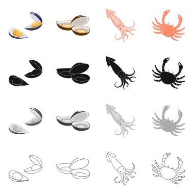 Taze ve Restoran simgesi yalıtılmış nesne. Web için taze ve deniz hisse senedi simgesi kümesi.