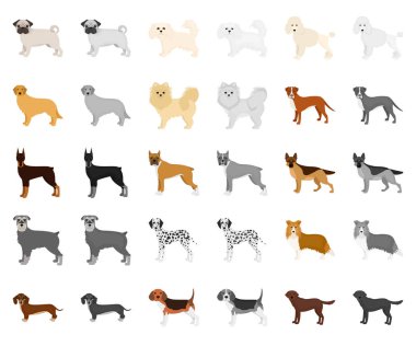 Köpek doğurmak çizgi film, set koleksiyonu tasarım için monochrom simgeler. Köpek evde beslenen hayvan vektör simge stok web çizim.