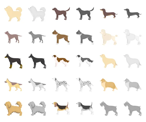 Hundraser tecknad, monochrom ikoner i set samling för design. Hund husdjur vektor symbol lager web illustration. — Stock vektor
