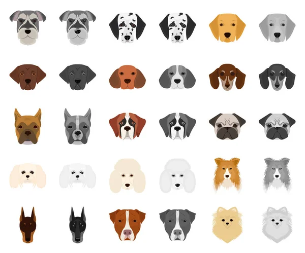 Perro razas de dibujos animados, iconos monocromáticos en la colección de conjuntos para design.Muzzle de un perro vector símbolo stock web ilustración . — Vector de stock