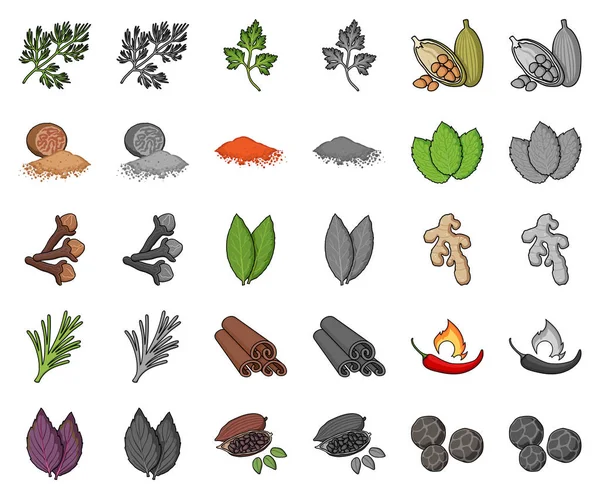 Desenhos animados de ervas e especiarias, ícones monocromáticos na coleção de conjuntos para design.Different tipos de seasonings símbolo vetorial web ilustração . — Vetor de Stock