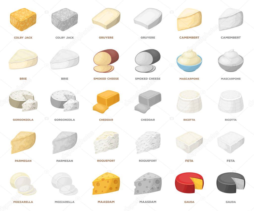 Different kind of cheese cartoon,monochrom icons in set collection for design.Milk product cheese vector symbol stock  illustration.