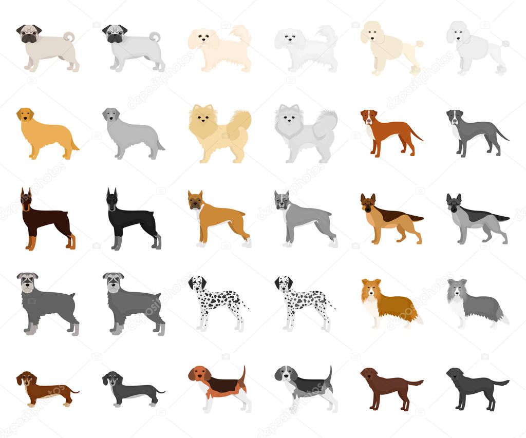 Dog breeds cartoon,monochrom icons in set collection for design.Dog pet vector symbol stock  illustration.
