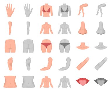 Vücut, bacak çizgi film, set koleksiyonu tasarım için monochrom simgeleri parçası. İnsan anatomisi vektör simge stok web çizimi.