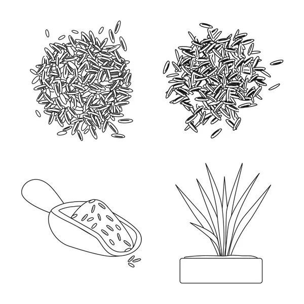 Design vetorial de dieta e sinal de culinária. Coleção de dieta e símbolo de estoque orgânico de web . —  Vetores de Stock