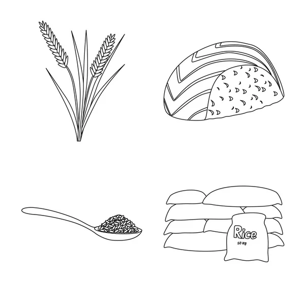 Изолированный объект диеты и логотип приготовления пищи. Коллекция диетических и органических символов запасов для интернета . — стоковый вектор