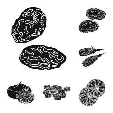 Vitamin ve doğa simge vektör tasarımı. Vitamin ve web için kurutulmuş hisse senedi simgesi.