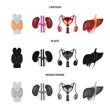 Biyoloji ve bilimsel simge vektör tasarımı. Biyoloji ve laboratuvar hisse senedi vektör çizim seti.