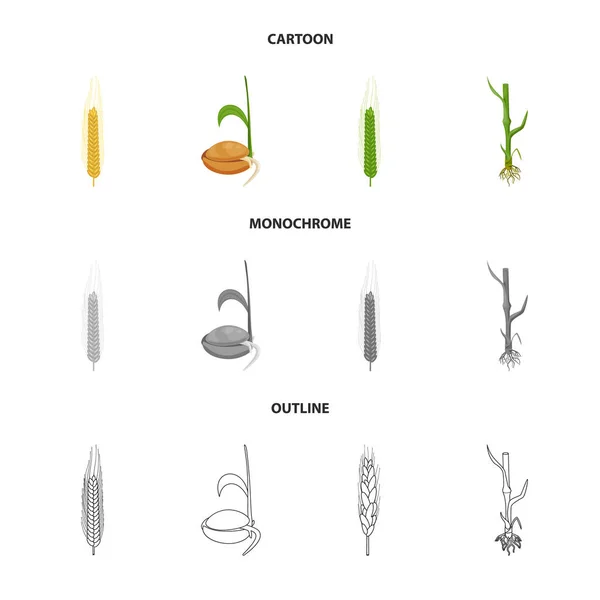 Objeto isolado da agricultura e logotipo da agricultura. Coleta de símbolo de estoque agrícola e vegetal de web . —  Vetores de Stock