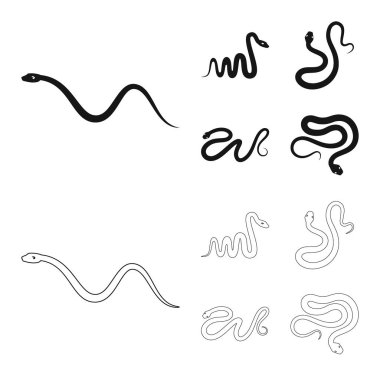 Mammal ve tehlike işareti vektör tasarımı. Memeli ve tıp vektör simgesini hissenin topluluğu.