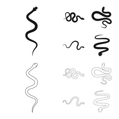 Mammal ve tehlike işareti yalıtılmış nesne. Memeli ve tıp vektör simgesini hissenin topluluğu.