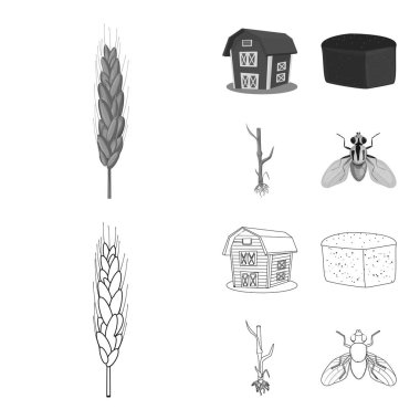 Tarım ve tarım işareti izole nesne. Tarım ve bitki hisse senedi simgesi için web topluluğu.