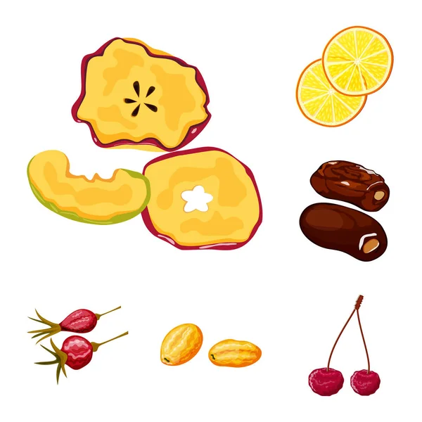 Meyve ve kurutulmuş işareti vektör çizimi. Meyve ve gıda hisse senedi simgesi web için kümesi.