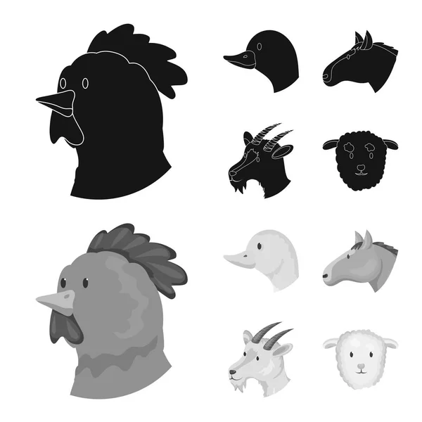 Illustration vectorielle de l'icône de l'agriculture et élevage. Collection d'icônes vectorielles agricoles et biologiques pour le stock . — Image vectorielle