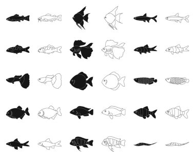 Farklı türde balık siyah, set koleksiyonu tasarım için anahat simgeleri. Deniz ve akvaryum balık sembol stok web illüstrasyon vektör.