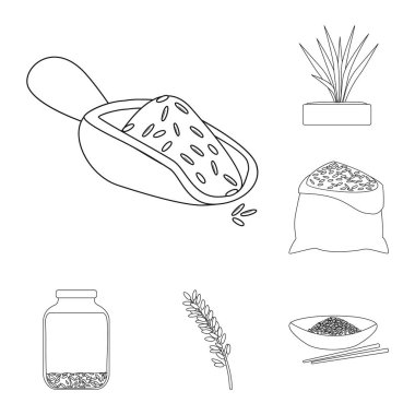 Diyet ve pişirme simge vektör tasarımı. Diyet ve web için organik hisse senedi simgesi toplama.