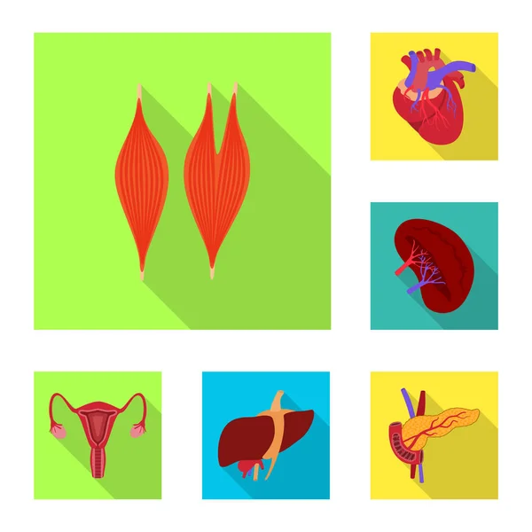 Diseño vectorial del signo humano y de salud. Conjunto de icono de vector humano y científico para stock . — Archivo Imágenes Vectoriales