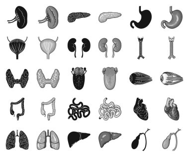 Set koleksiyonu tasarım için insan organlarını siyah, tek renkli simgeler. Sembol stok web illüstrasyon vektör anatomi ve iç organlar.