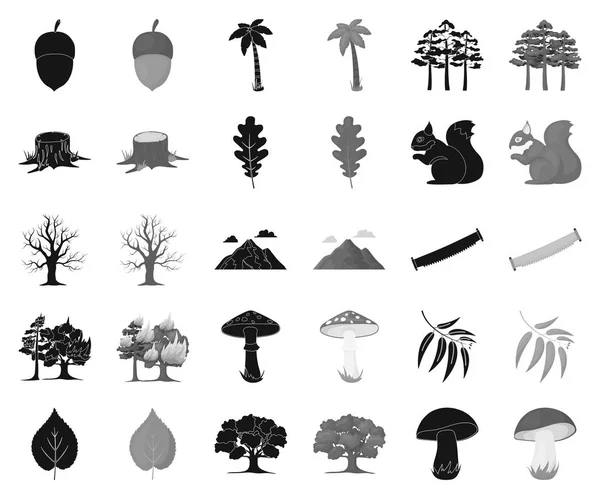Forest and nature black,monochrome icons in set collection for design. Forest life vector symbol stock web illustration. — Stock Vector