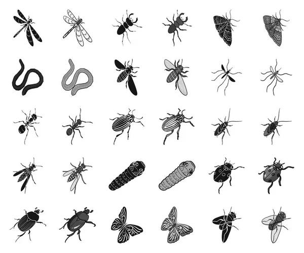 Different kinds of insects black,monochrome icons in set collection for design. Insect arthropod vector isometric symbol stock web illustration. — Stock Vector