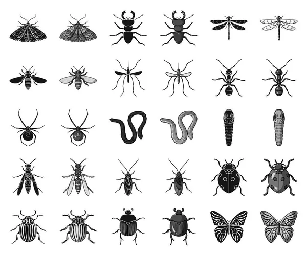 Verschiedene arten von insekten schwarz, monochrom symbole in set-kollektion für design. Insekt Arthropoden Vektor Symbol Stock Web Illustration. — Stockvektor