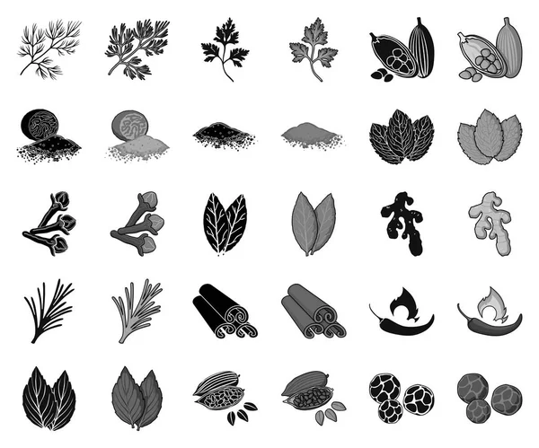 Herb e especiarias preto, ícones monocromáticos na coleção de conjuntos para design.Different tipos de seasonings símbolo vetorial web ilustração . —  Vetores de Stock
