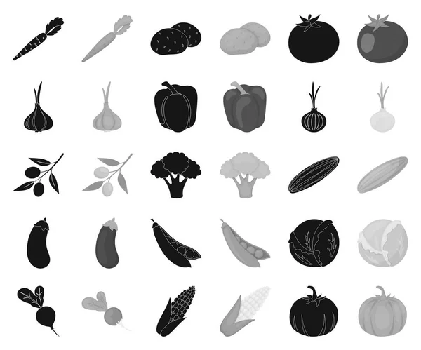 Verschiedene Arten von Gemüse schwarz, einfarbige Symbole in Set-Kollektion für Design. Gemüse und Vitamine Vektor Symbol Stock Web Illustration. — Stockvektor