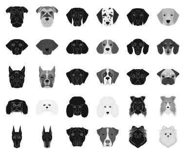 Köpek ırkları set koleksiyonu tasarım için siyah, tek renkli simgeler. Bir köpek vektör simge stok web illüstrasyon namlu.