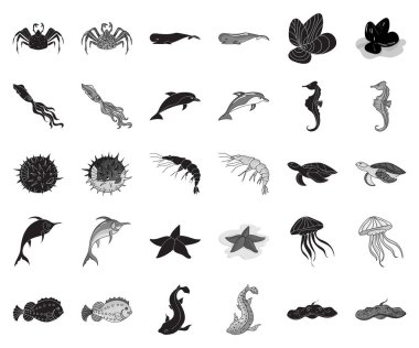 Deniz hayvanları siyah, tek renkli simgeler set koleksiyonu tasarım için çeşitli. Balık ve kabuklu deniz ürünleri sembol stok web illüstrasyon vektör.