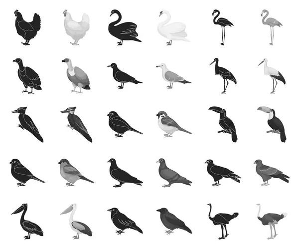 Types d'oiseaux noir, icônes monochromes dans la collection ensemble pour le design. Maison et sauvage oiseau vecteur symbole stock web illustration . — Image vectorielle