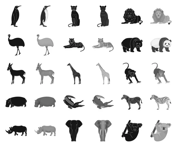 Diferentes animales negros, iconos monocromáticos en la colección de conjuntos para el diseño. Pájaro, depredador y herbívoro vector símbolo stock web ilustración . — Archivo Imágenes Vectoriales