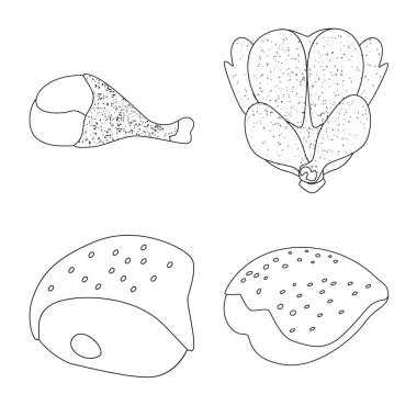 Gıda ve ızgara simge vektör Illustration. Web için gıda ve kuş hisse senedi simgesi kümesi.