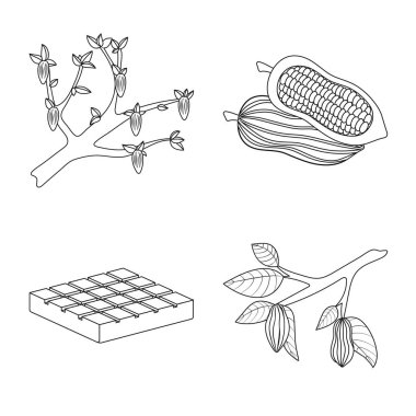 Kakao ve fasulye sembolü yalıtılmış nesne. Kakao ve tatlılık hisse senedi vektör çizim topluluğu.