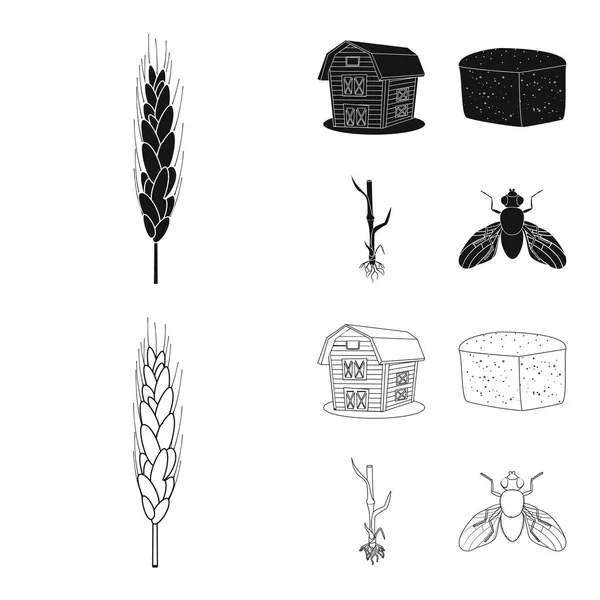 Progettazione vettoriale dell'agricoltura e icona dell'agricoltura. Set di agricoltura e stock vegetale simbolo per il web . — Vettoriale Stock