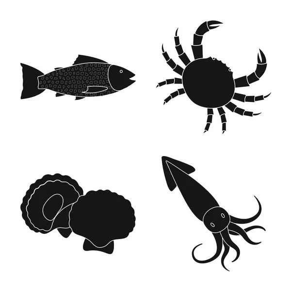 Ilustración vectorial de mercado y símbolo marino. Colección de ilustración vectorial del mercado y del mar . — Vector de stock