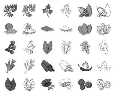 Ot ve baharat tek renkli, set koleksiyonu tasarım için anahat simgeleri. Baharat çeşitleri simge stok web illüstrasyon vektör.