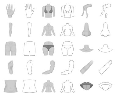 Bölüm gövdesini uzuv siyah-beyaz set koleksiyonu tasarım için simgeleri anahat. İnsan anatomisi vektör simge stok web çizimi.