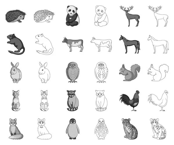 Animais realistas monocromáticos, delinear ícones na coleção de conjuntos para o design. Animais selvagens e domésticos símbolo vetorial ilustração web . —  Vetores de Stock