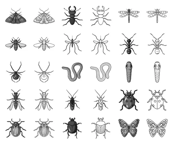 Diferentes tipos de insetos monocromáticos, delinear ícones na coleção de conjuntos para design. Inseto artrópode vetor símbolo web ilustração . — Vetor de Stock