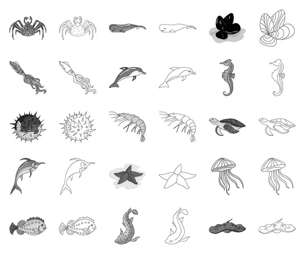 A variety of marine animals monochrome, outline icons in set collection for design. Рисунок векторных символов рыбы и моллюсков . — стоковый вектор