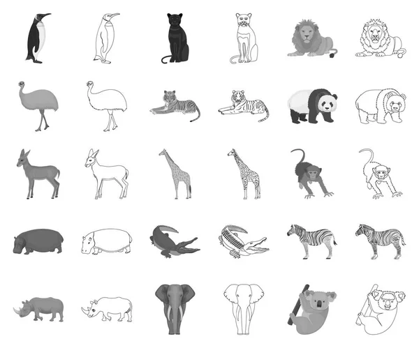 Különböző állatok fekete-fehér, vázlat ikonok beállítása gyűjtemény a design. Madár, ragadozó és növényevő vektor szimbólum állomány honlap illusztráció. — Stock Vector