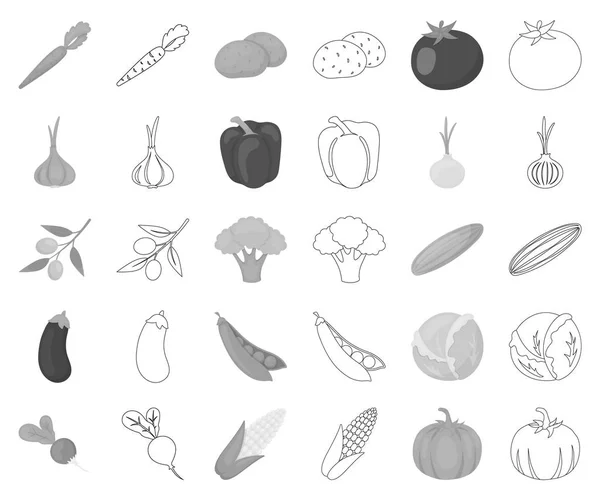Diferentes tipos de vegetais monocromáticos, ícones de contorno na coleção de conjuntos para design. Vegetais e vitaminas símbolo vetorial web ilustração . — Vetor de Stock