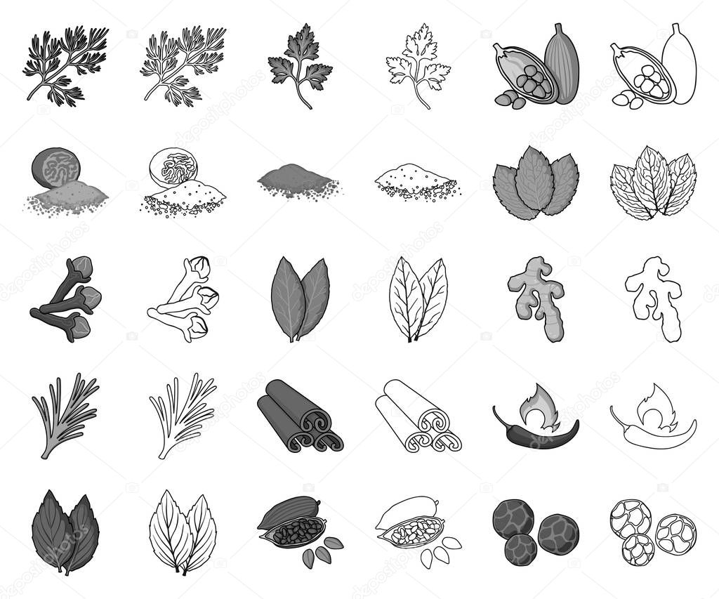 Herb and spices monochrome,outline icons in set collection for design.Different kinds of seasonings vector symbol stock  illustration.