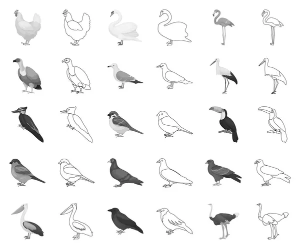 Types d'oiseaux monochromes, icônes de contour dans la collection ensemble pour le design. Maison et sauvage oiseau vecteur symbole stock web illustration . — Image vectorielle