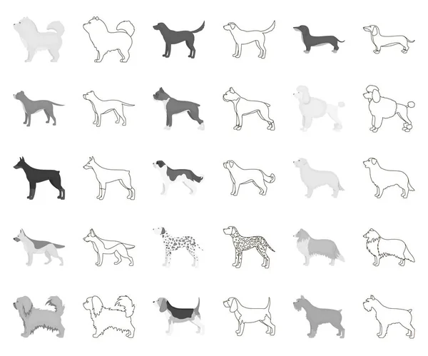 Raças de cães monocromático, ícones esboço na coleção de conjuntos para design.Dog animal de estimação símbolo vetorial web ilustração . —  Vetores de Stock