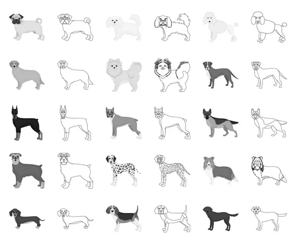 Raças de cães monocromático, ícones esboço na coleção de conjuntos para design.Dog animal de estimação símbolo vetorial web ilustração . — Vetor de Stock