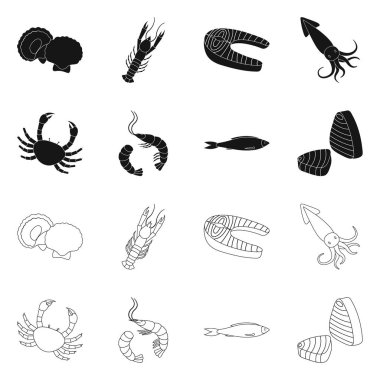 Taze ve restoran simge vektör tasarımı. Web için taze ve deniz hisse senedi simgesi kümesi.